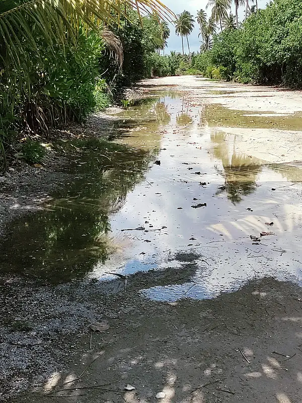 ގދ. ނަޑެއްލާއަށް އުދަ އަރައި، ބައެއް ގެތަކަށް އުދައިގެ އަސަރުކޮށްފި