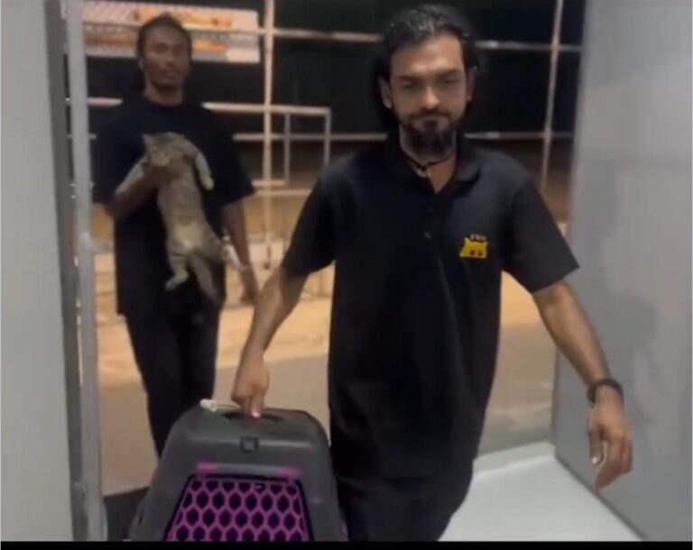 އޮޅު ހިޔާ އާ ހަވާލުވިތާ 16 ގަޑިއިރުގެ ތެރޭގައި ކަަރަންޓީނު ސަރަހައްދަށް ބޭނުންވާ ވަސީލަތްތައް ގާއިމްކޮށްފި