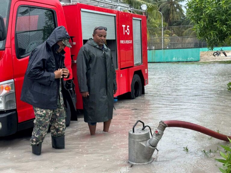 ދިއްފުށްޓަށް ރެކޯޑު އަދަދަކަށް ވާރޭ ވެހިއްޖެ
