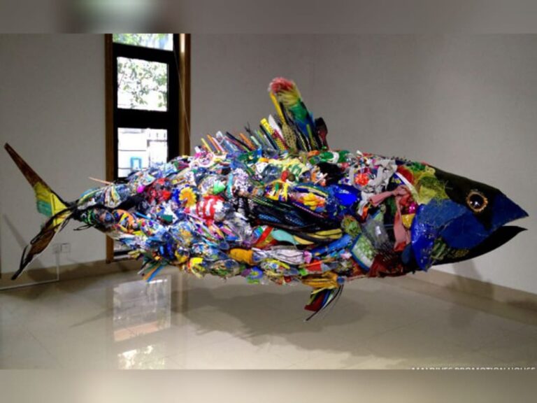 އުކާލެވޭތަކެތި ބޭނުންކޮށްގެން އުފައްދާ އެއްޗަކުން 6،000 ރުފިޔާ ލިބުމުގެ ފުރުސަތު!