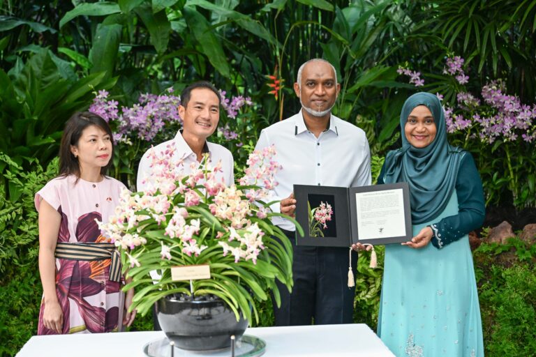 ރައީސްގެ ދެކަނބަލުންގެ ނަމަށް ނިސްބަތްކޮށް ސިންގަޕޫރުގައި އޯކިޑަކަށް ނަންދީފި