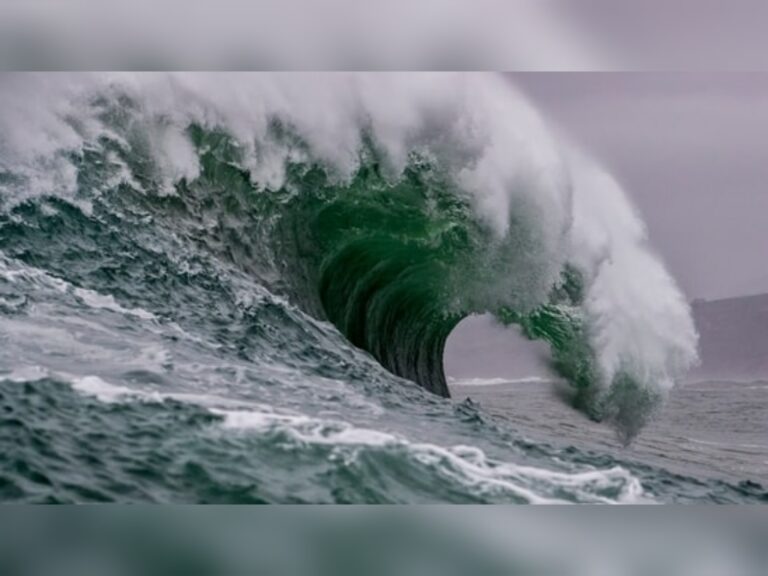 ރަޝިޔާއަށް އައި ބިންހެލުމާ ގުޅިގެން ސުނާމީގެ ބިރުވެރިކަން ރާއްޖެއަކަށް ނެތް: މެޓް