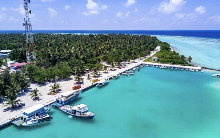 ފަތުރުވެރިކަމުގެ ބޭނުމަށް ދިއްފުށިން 4 ބިމެއް ދޫކުރަނީ