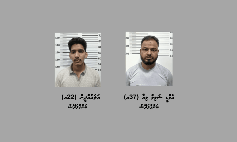 ގަވައިދާ ހިލާފަށް ވިޔަފާރި ކުރަމުންދާ ކަމުގެ ތުހުމަތުގައި ދެ ބިދޭސީއަކު ހައްޔަރުކޮށްފި