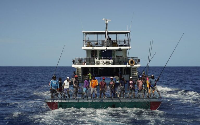 މަސްވެރިންނަށް މިއަދު 1.2 މިލިއަން ރުފިޔާ ޖަމާކޮށްދީފި