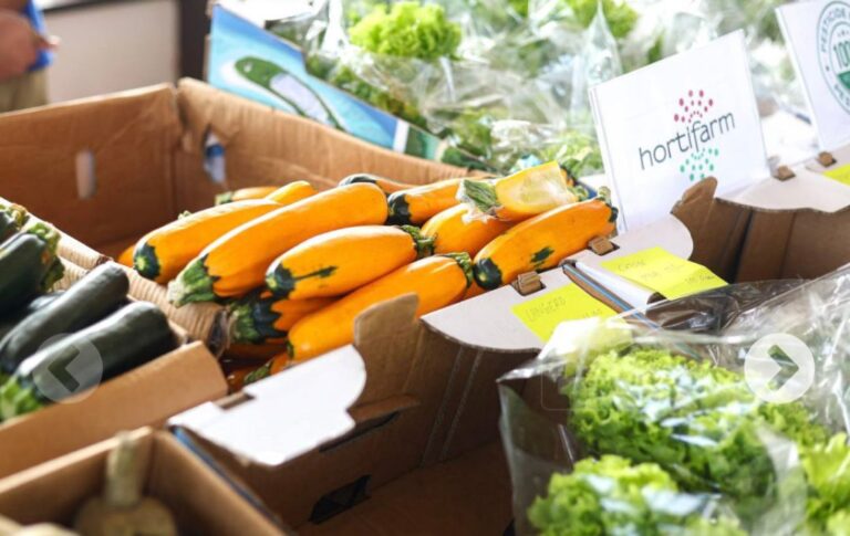 މާލޭގައި ގާއިމްކުރި ”ދަނޑުވެރިންގެ ބާޒާރު“ ހުޅުވައިފައި