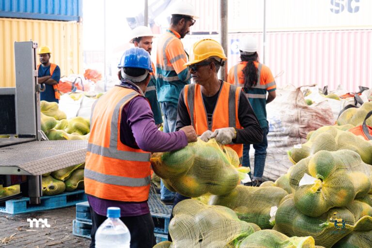 އެމްޕީއެލްއިން އިއްޔެ 3،796 ކަރާ ބަސްތާ ކްލިއާ ކުރި!