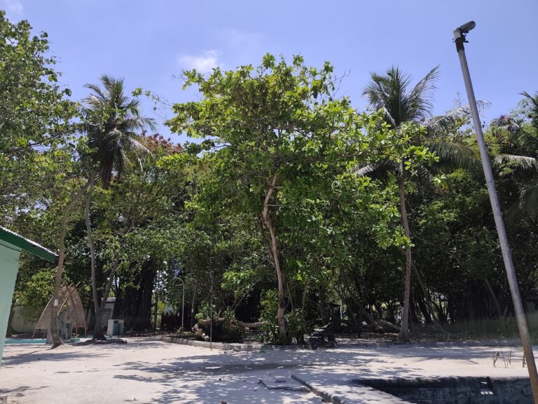 ސަމާލުވޭ! އޭޕްރިލް މަހަކީ އެންމެ ހޫނުގަދަ މަސް!