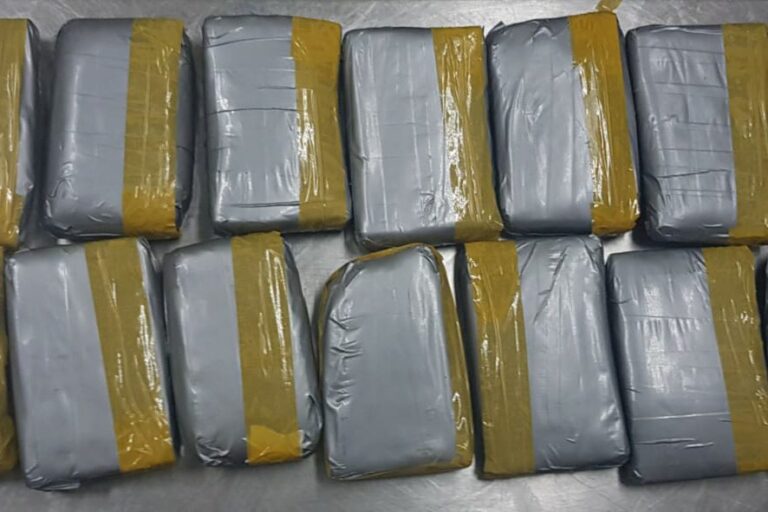 ވައިގެމަގުން އެތެރެކުރި 2.2 ކިލޯގެ ޑްރަގް އަތުލައިގެންފި