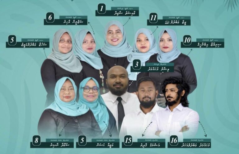 އިންތިހާބުގައި ގއ. ވިލިނގިލީގެ ހުރިހާ ގޮނޑިއެއް ޕީއެންސީއަށް