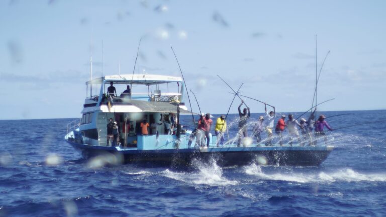 ރާއްޖޭގެ މަސްވެރިކަމަށް ސީފުޑް ވޮޗްގެ ހާއްސަ ރޭޓިންއެއް ކަނޑައަޅައިފި