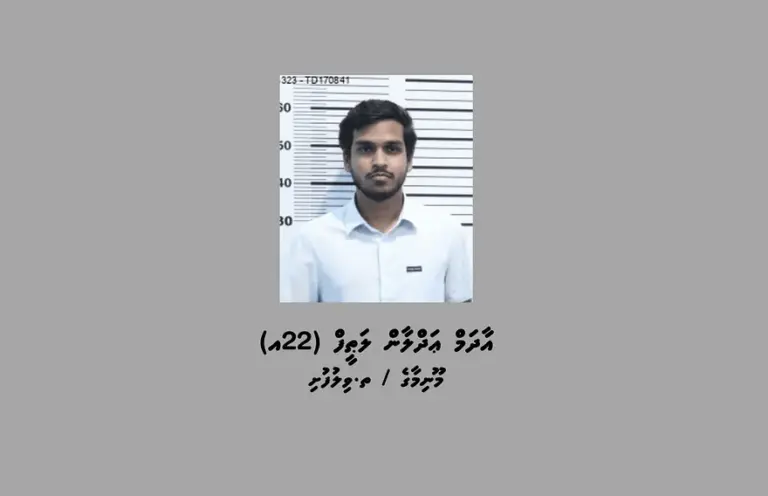 ކުޑަކުދިންނަށް ޖިންސީ ގޯނާ ކުރާ މަންޒަރު ފެންނަ ފޮޓޯ ވިއްކި ކަމުގެ ތުހުމަތުގައި ހައްޔަރު ކުރި މީހާ ދޫކޮށްލައިފި