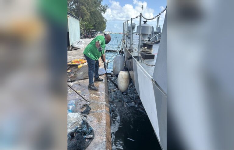 އެޗްޑީސީން އިއްޔެ ހުޅުމާލޭގެ ފަޅުތެރެއިން 61 ޖަންބޯ ބޭގްގެ ކުނި ނަގައިފި