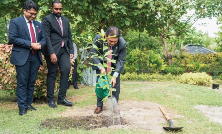 ބަންގްލަދޭޝްއިން ރާއްޖެއަށް 20،000 ގަސް ހަދިޔާކޮށްފި