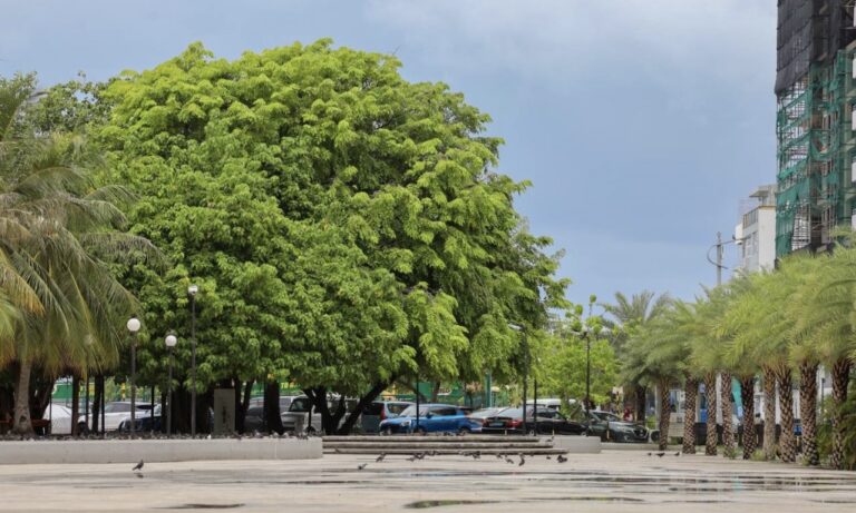އުތުރާއި މެދުރާއްޖެއަށް މިއަދު އާންމު މިނަށްވުރެ ހޫނު ގަދަ!