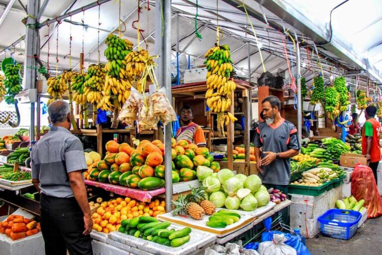 މާރުކޭޓު ކޮމްޕްލެކްސް އަޅަން 1 މަސްތެރޭ ބިން ހުސްކުރުމުގެ މަސައްކަތް ފަށައިފި