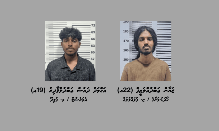 މަސްތުވާތަކެތީގެ ދެ މައްސަލައެއްގައި މާލެއިން ދެ މީހަކު ހައްޔަރުކޮށްފި