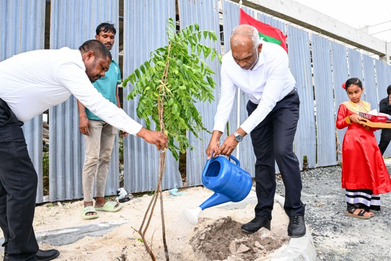 އުކުޅަހުގައި ކުރިއަށް ގެންދިޔަ ގަސް އިންދުމުގެ ހަރަކާތުގައި ރައީސްގެ ދެކަނބަލުން ބައިވެރިވެވަޑައިގެންފި