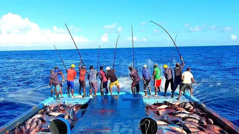މިފްކޯއިން މަސްކިރުވި ދޯނިތަކަށް 1 މިލިއަން އަށްވުރެ ގިނަ ރުފިޔާ އިއްޔެ ދޫކޮށްފި