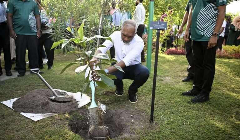 5 މިލިޔަން ގަސް އިންދުމުގެ ޕްރޮގްރާގެ ދަށުން މިހާތަނަށް 1.8 މިލިޔަން ގަސް