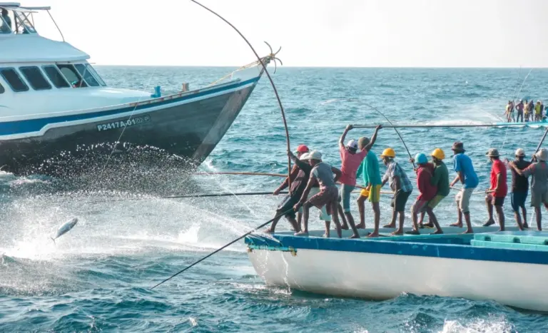 އޮގަސްޓްމަހުގެ ނިޔަލަށް މަސްވެރިންނަށް 14.5 މިލިޔަން ރުފިޔާގެ ލޯނު ދޫކޮށްފި