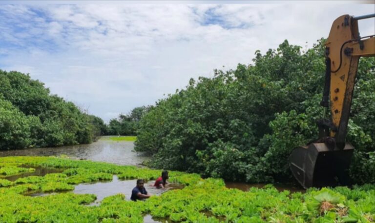 ތިނަދޫ ކުޅިއަށް ކެމިކަލް އެޅި މައްސަލައިގައި ސްވިފްޓް އިންޖީނިއަރިން ޖޫރިމަނާކުރަން އެދިއްޖެ